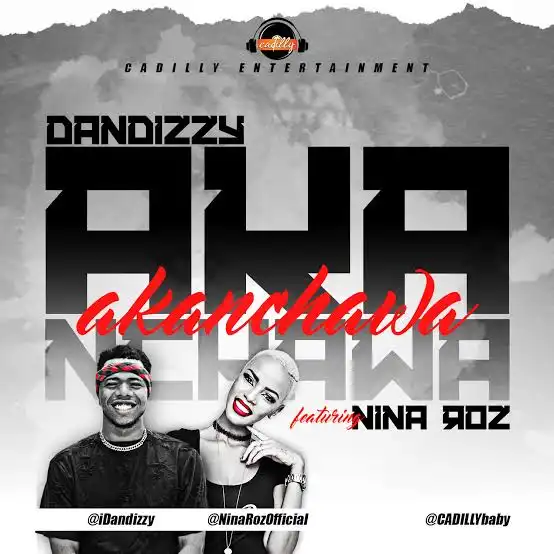 Akanchawa – Dan Dizzy ft. Nina Roz