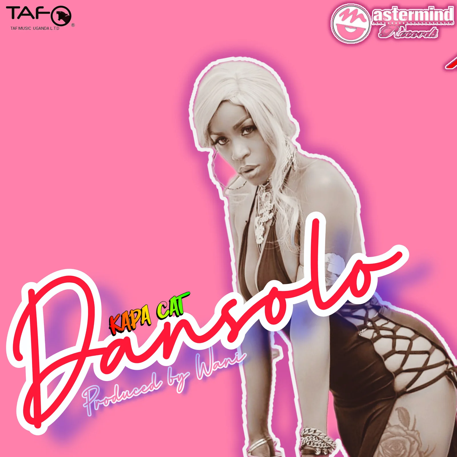 Dansolo – Kapa Cat