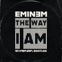 The Way I Am – Eminem