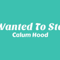 I Wanted To Stay – Calum Hood