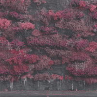 Even In Arcadia (2025) - Album by Sleep Token