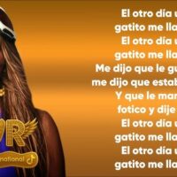Un Gatito Me Llamó – KAROL G